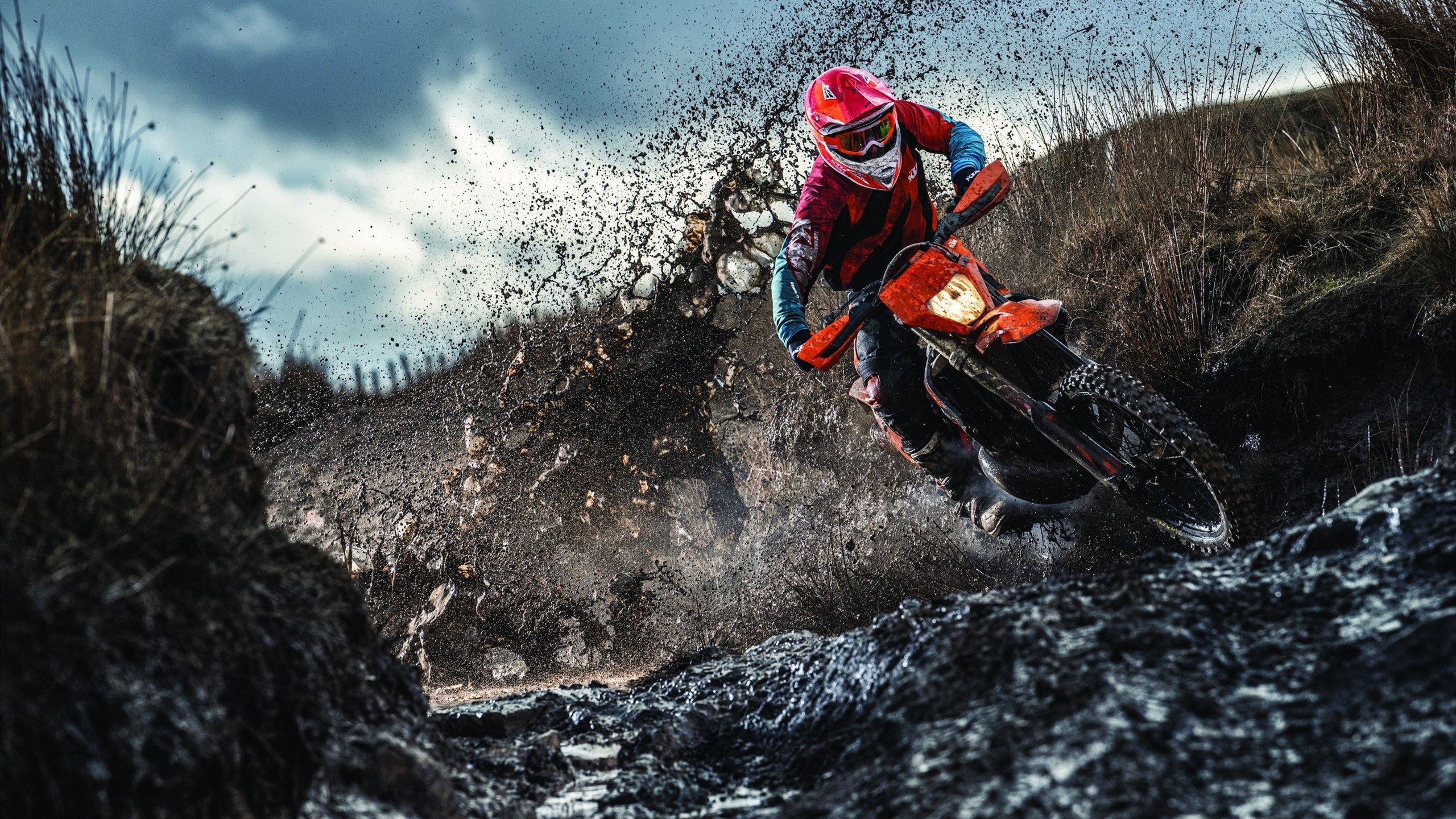 塔特的场上冷静与决断力，让袋鼠队充满信心